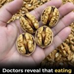 Alert! 8 Drugs That May Impact Memory and Brain Health