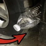 What It Is And Why There’s A Strange Shelf Inside Some Toilets