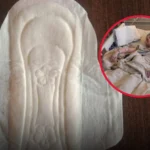 ATTENTION These are the consequences of sleeping with…