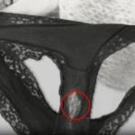 Easy Oven-Baked 4-Ingredient Cheesy Potato Stacks (Crispy, Creamy & Perfect for Any Dinner)