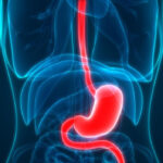 Doctors Reveal What Happens When You Add Cucumbers to Your Salads Regularly