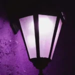 Doctors Reveal What Happens When You Eat Walnuts Regularly