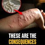 10 Things You Shouldn’t Be Storing on Your Kitchen Countertop