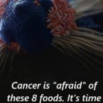 Cancer is “afraid” of these 8 foods.!!