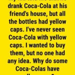 I’ll Snap Your Arm!” My Brother-in-Law Sneered…